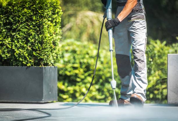 Best Solar Panel Cleaning  in Cibolo, TX
