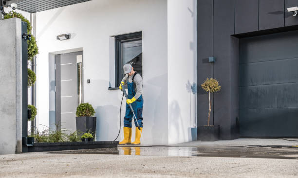 Best Building Exterior Washing  in Cibolo, TX